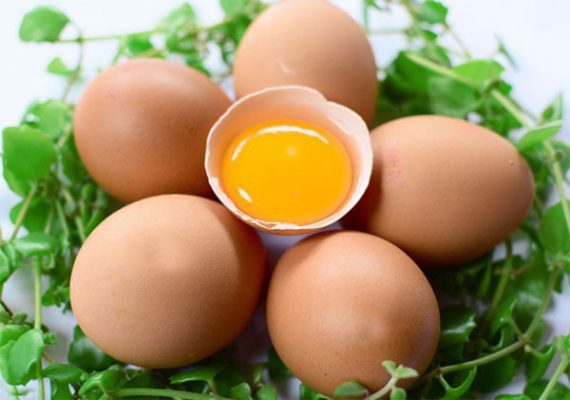 Cải thiện da đầu với protein từ trứng