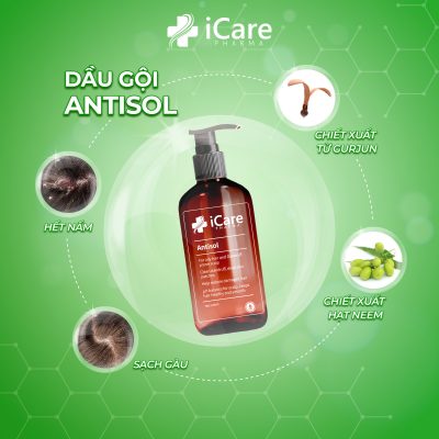 review-dau-goi-tri-gau-rung-toc-antisol