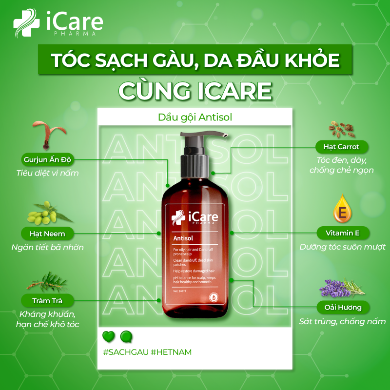 Tóc sạch gàu da đầu khỏe