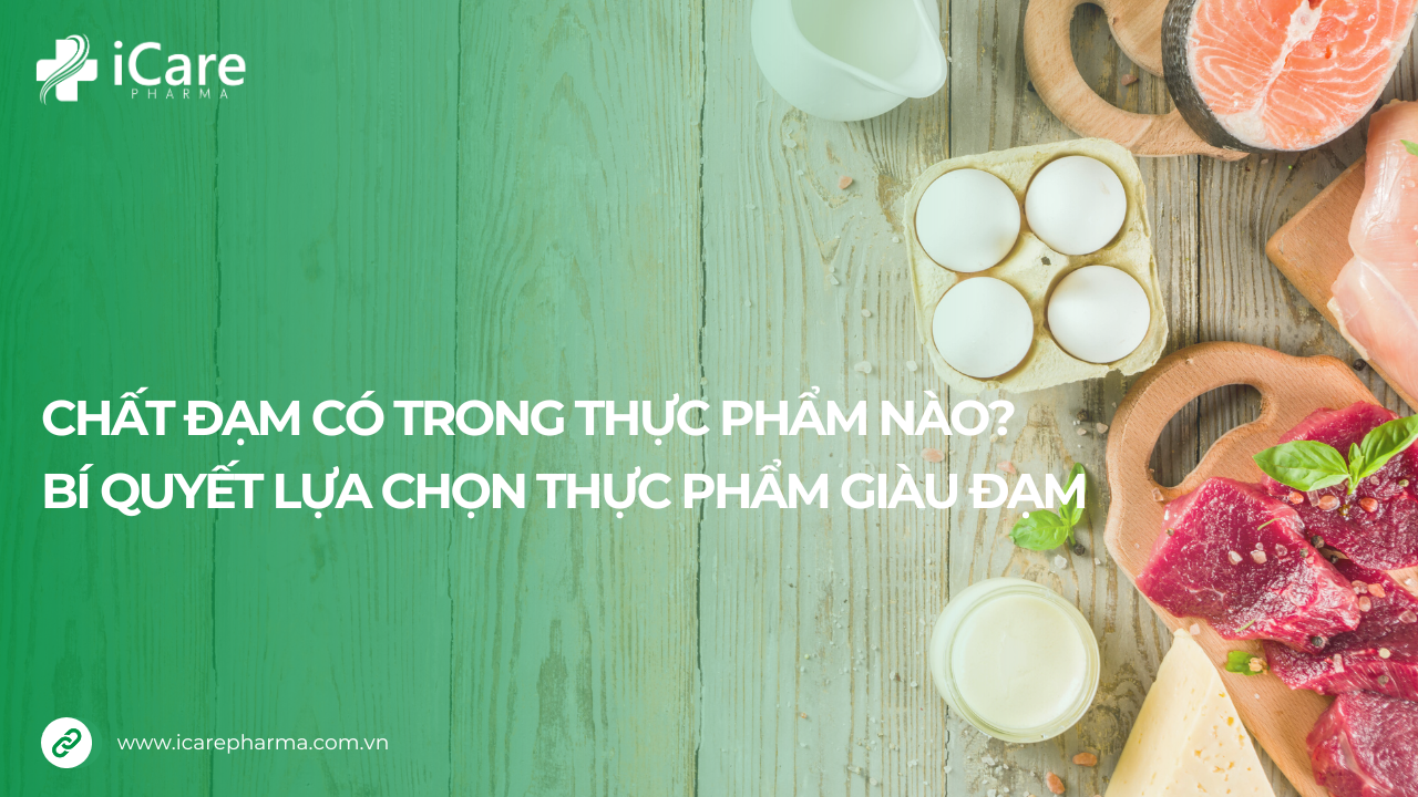 chất đạm có trong thực phẩm nào