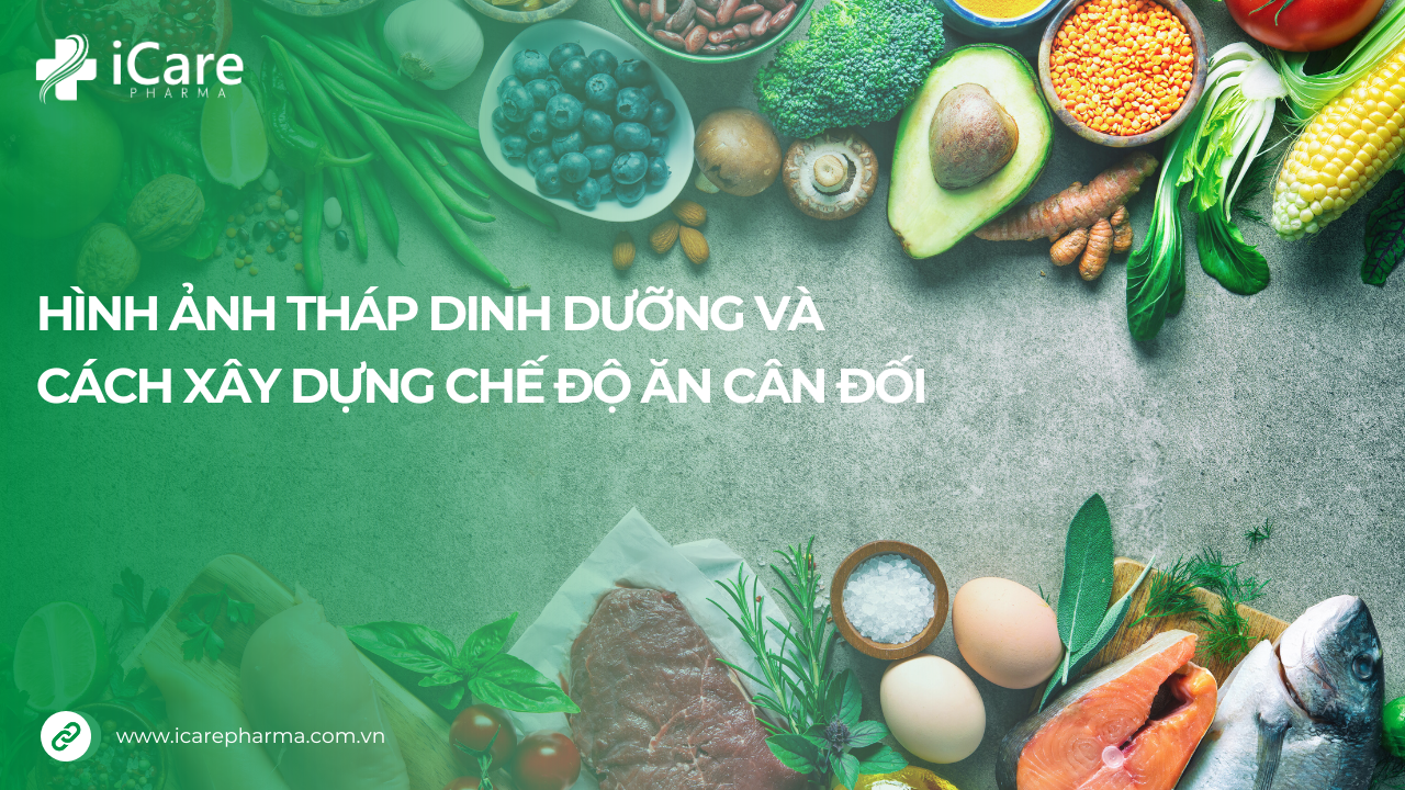 Hình ảnh tháp dinh dưỡng