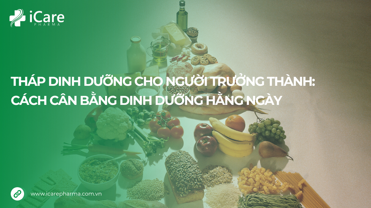 tháp dinh dưỡng cho người trưởng thành