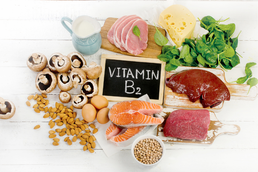 Vitamin B2 đóng vai trò tăng cường năng lượng cho cơ thể