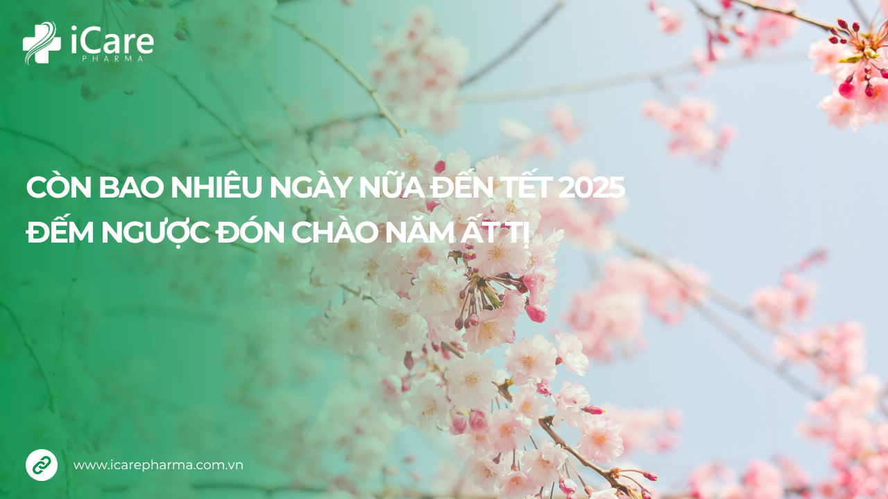 Còn bao nhiêu ngày nữa đến tết