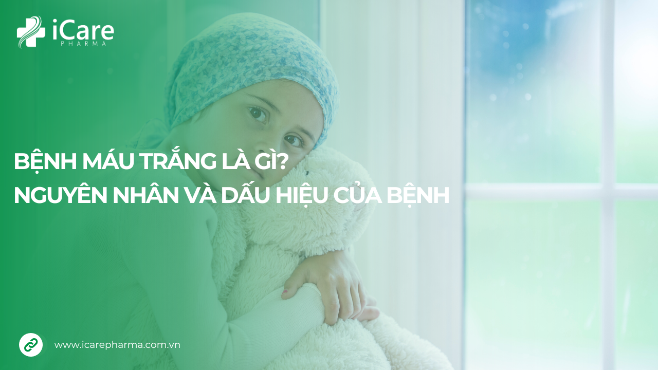 Bệnh máu trắng là gì?