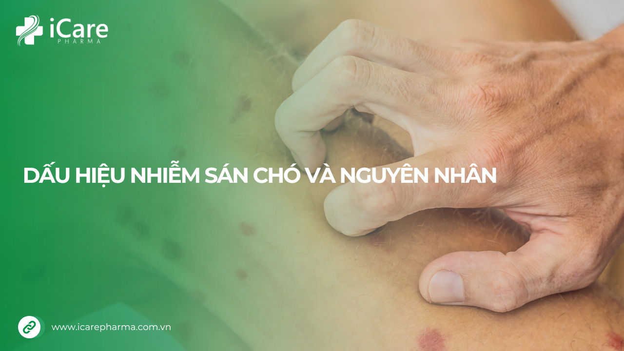 Dáu hiệu nhiễm sán chó