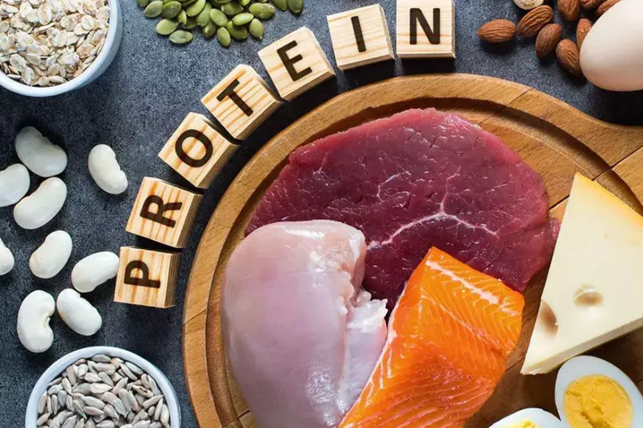 thực phẩm giàu protein
