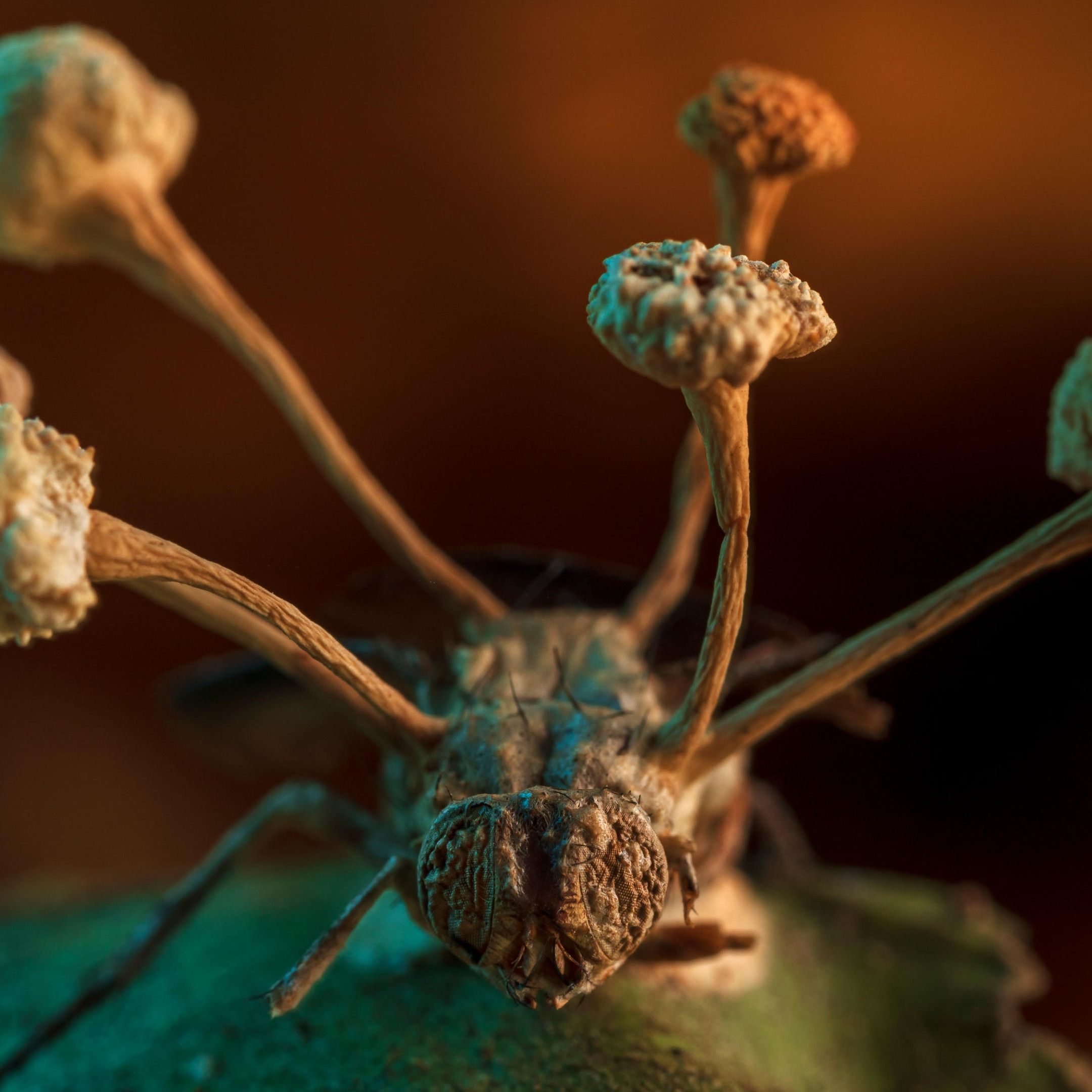 Quy trình chăm sóc tóc