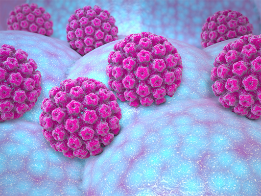 Virut hpv là gì 