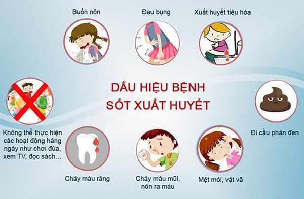 Dấu hiệu sốt xuất huyết