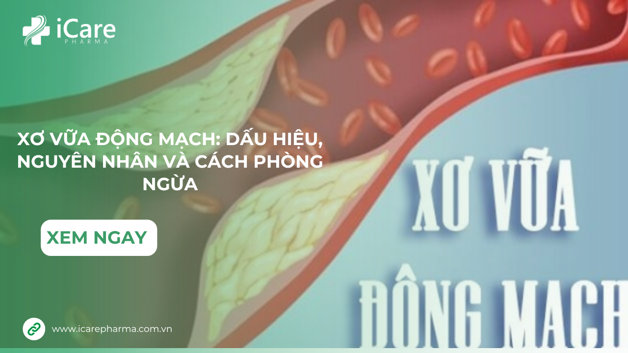 Xơ Vữa Động Mạch