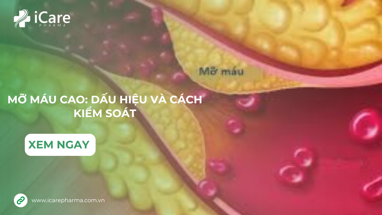 Mỡ Máu Cao: Dấu Hiệu Và Cách Kiểm Soát