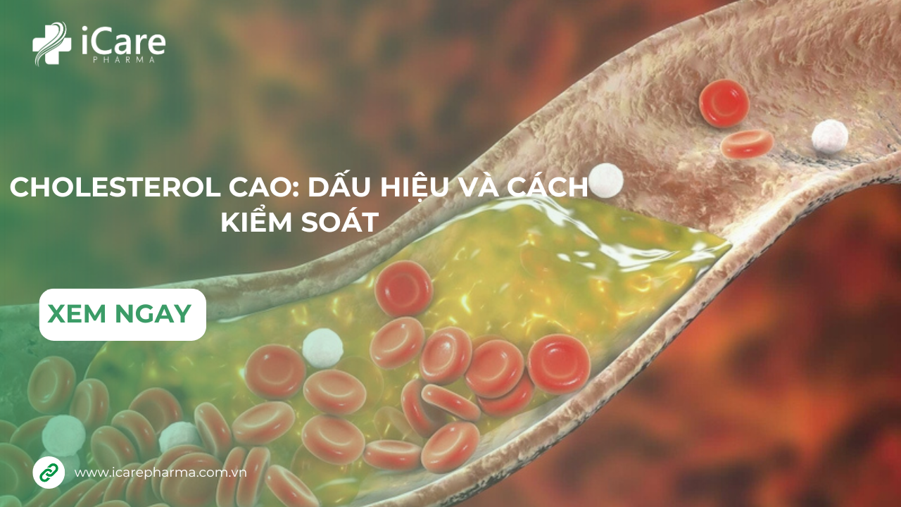 Cholesterol Cao: Dấu Hiệu Và Cách Kiểm Soát